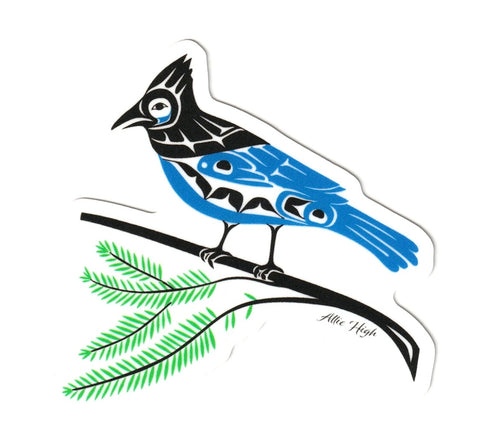 Steller’s Jay